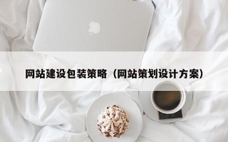 射阳网站建设包装策略（网站策划设计方案）